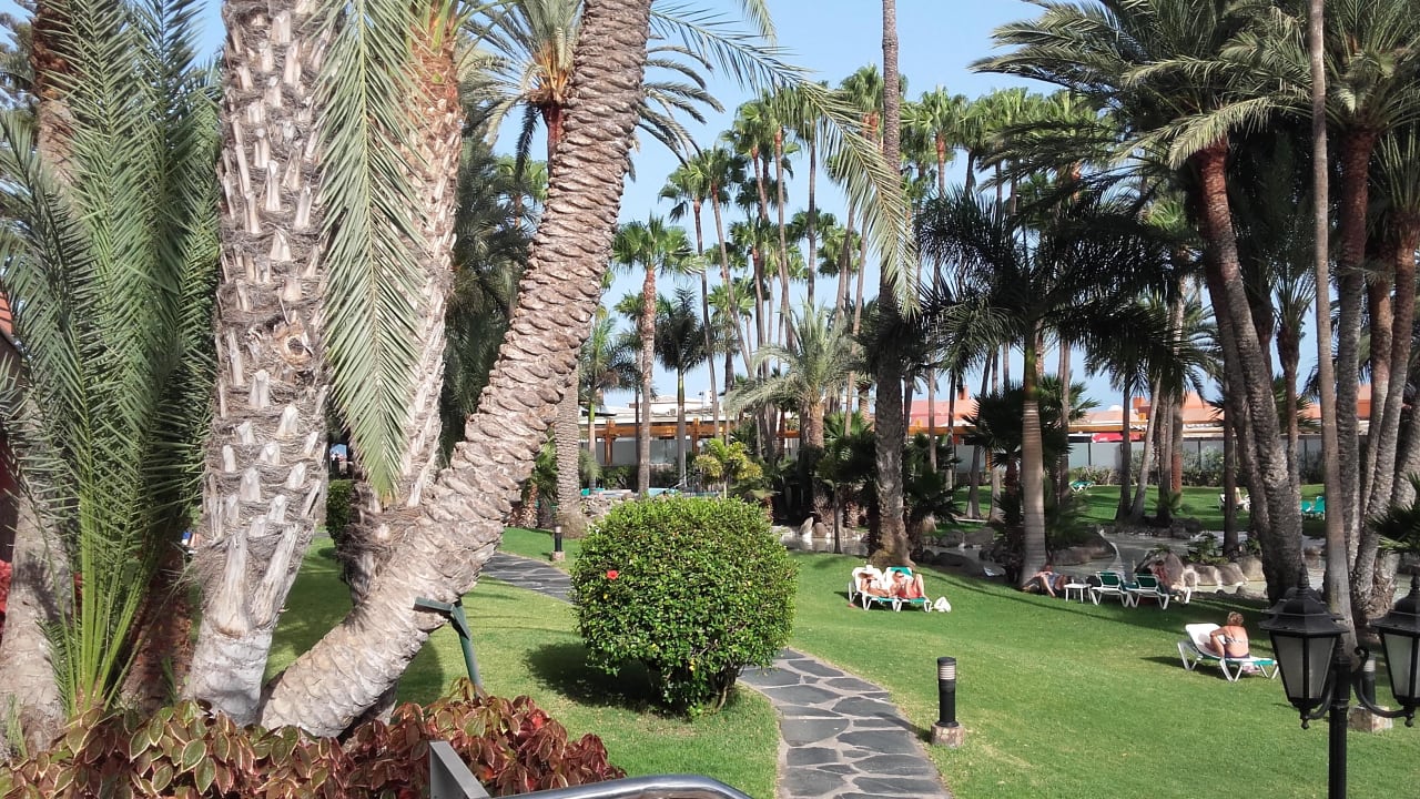 Garten Hotel Riu Palace Oasis