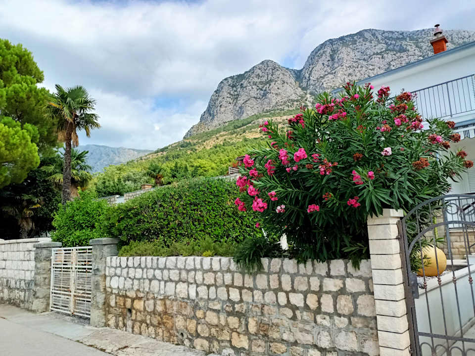 Ausblick MORENIA All Inclusive Hotel