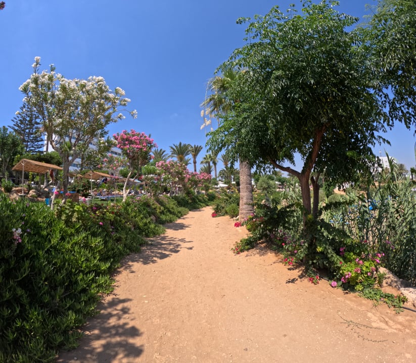 Gartenanlage Crystal Springs Beach Hotel