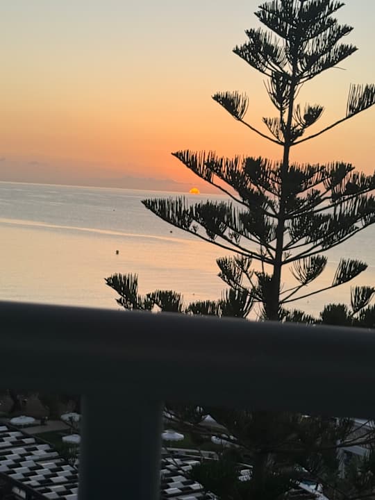 Sonstiges Hotel Calypso Beach