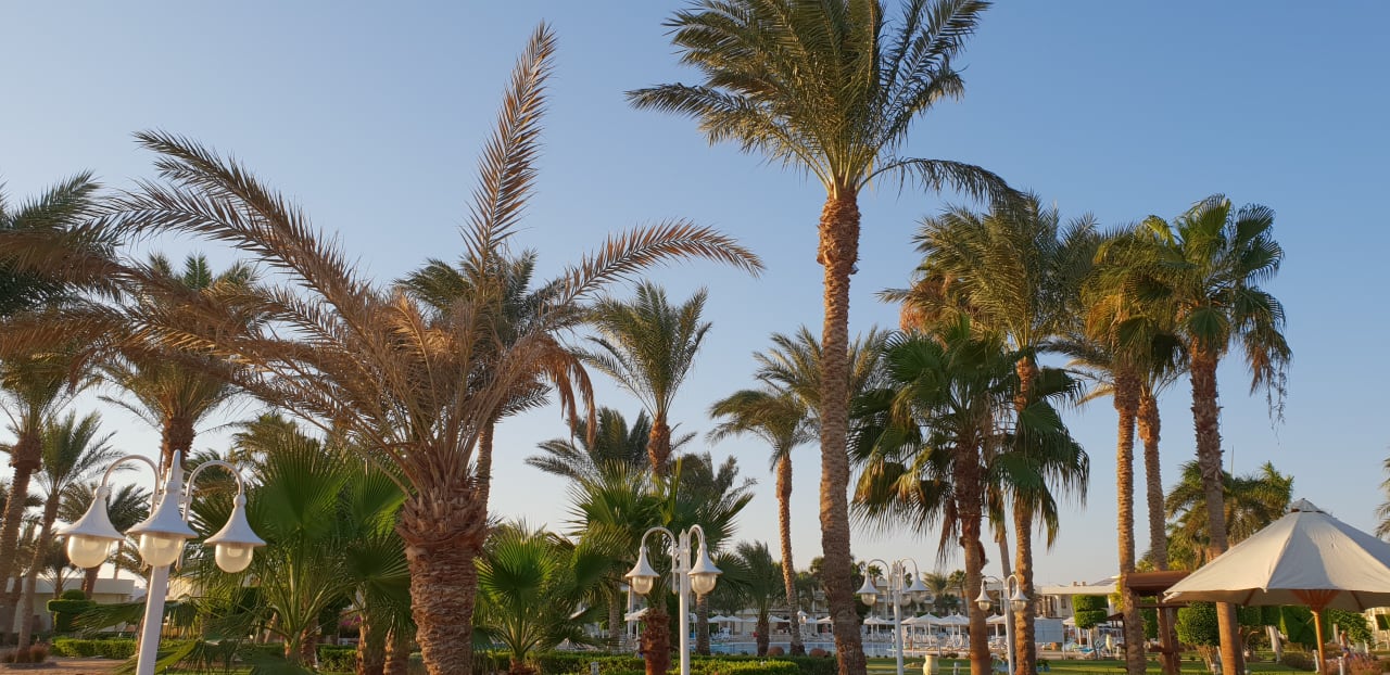 Ausblick LABRANDA Royal Makadi