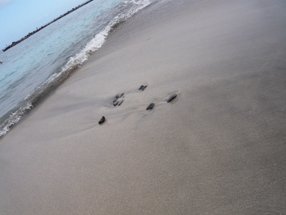 Strandfarbe braun/schwarz Hotel Riu Arecas - Adults only