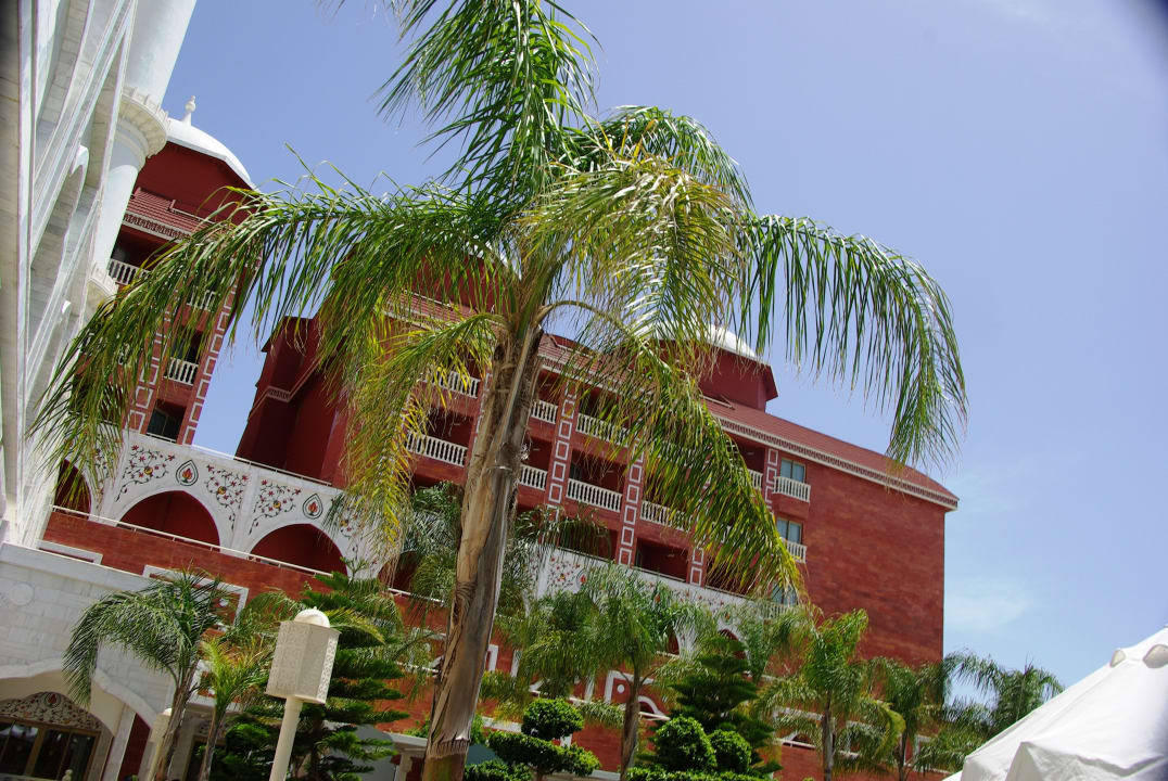 Zum Haupthaus mit Palme Royal Taj Mahal Hotel