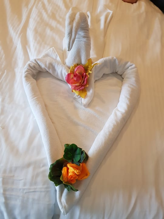 Zimmer Hotel Delphin Imperial