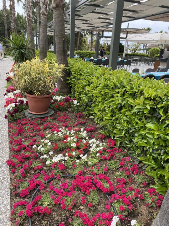 Gartenanlage Bella Resort & Spa