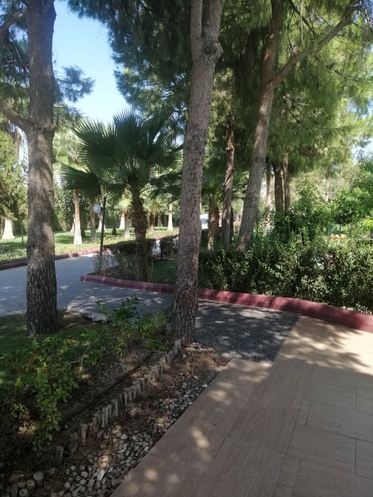 Gartenanlage VONRESORT Golden Beach