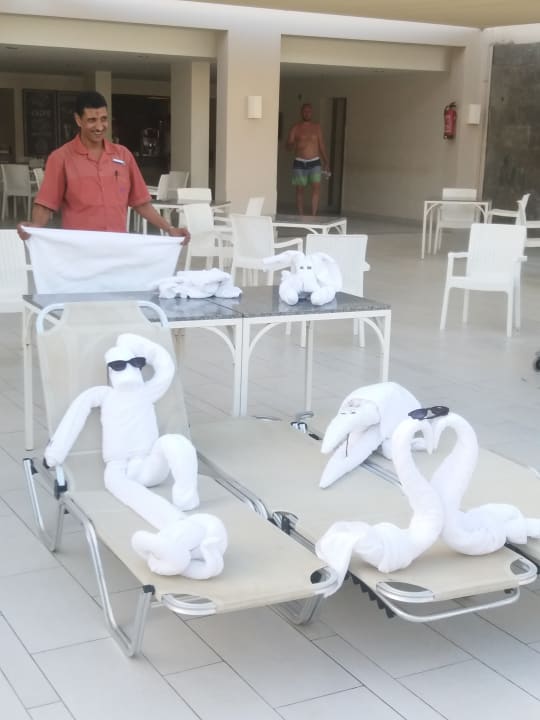 Sonstiges Jaz Aquaviva