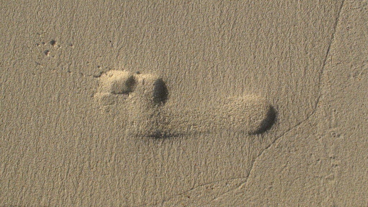 Fußabdruck Constance Ephelia