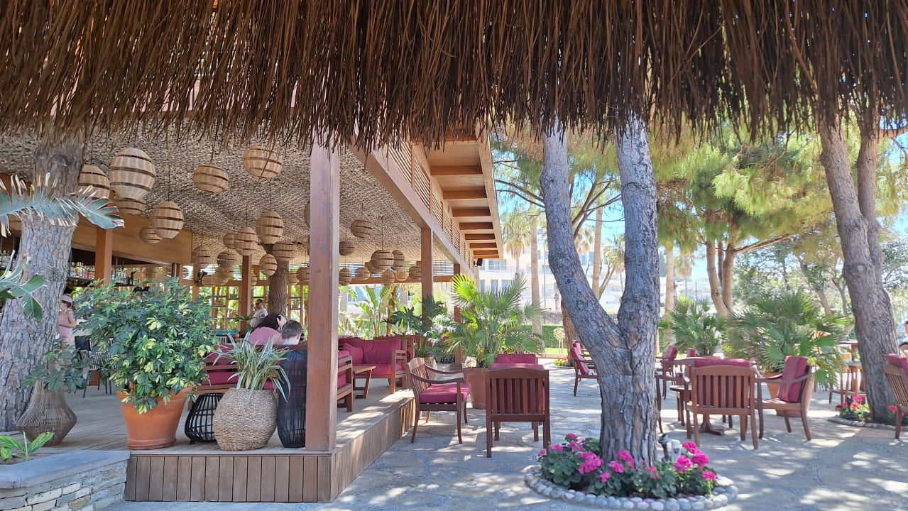 Gastro Arum Barut Collection
