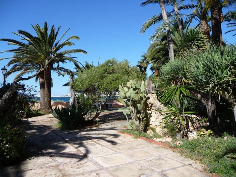 Alte Mühlenteile - Referenz Puig des Molins THB Los Molinos - Adults only