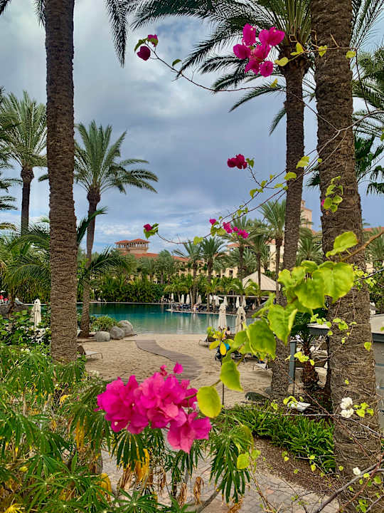 Gartenanlage Lopesan Costa Meloneras, Resort & Spa