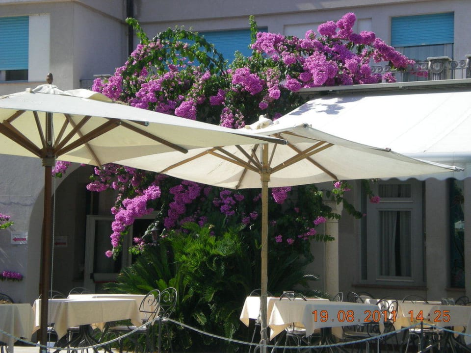 Essen am Pool Hotel Savoy Palace