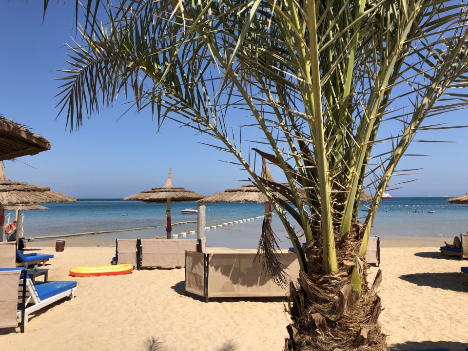 Strand Pickalbatros White Beach Resort - Hurghada