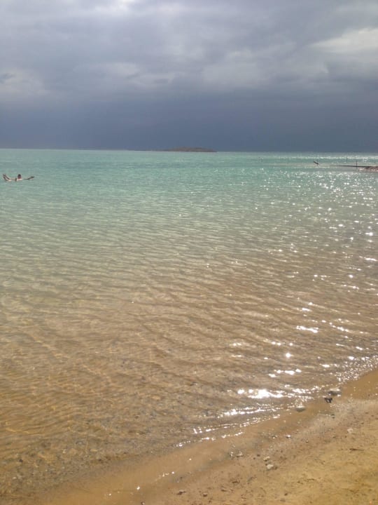 Hotel Strand Royal Hotel Dead Sea