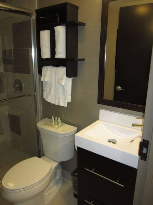 Bad Holiday Inn Manhattan-Financial District