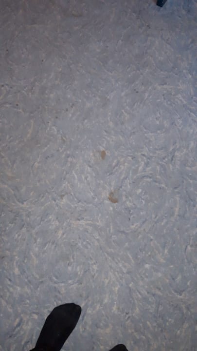 Zimmer Hotel Luise Garni