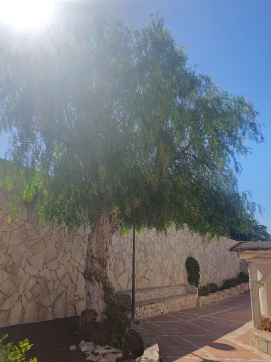 Gartenanlage SBH Monica Beach Resort