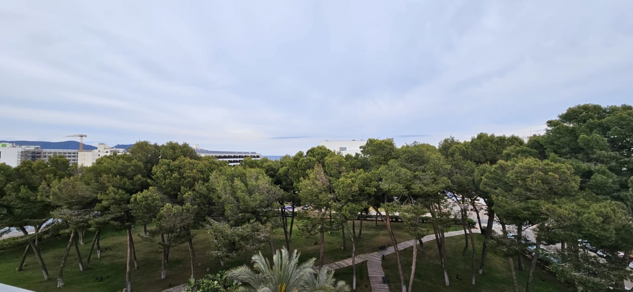 Ausblick Hipotels Hipocampo Palace & Spa