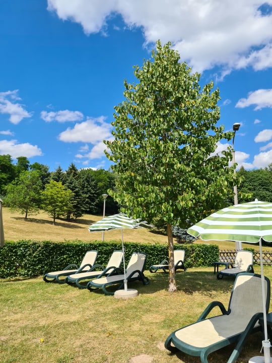 Gartenanlage AHORN Berghotel Friedrichroda