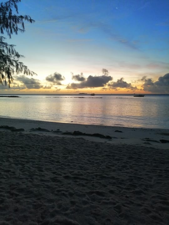 Ausblick Summer Island Maldives