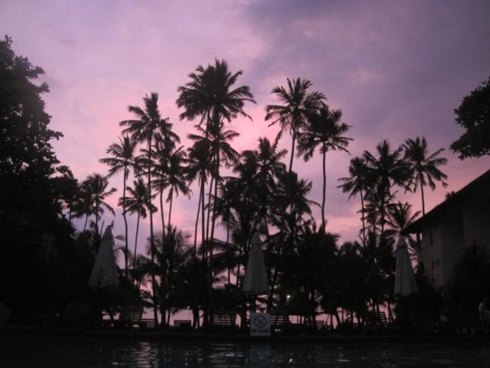 Palmengarten am Abend Mermaid Hotel & Club