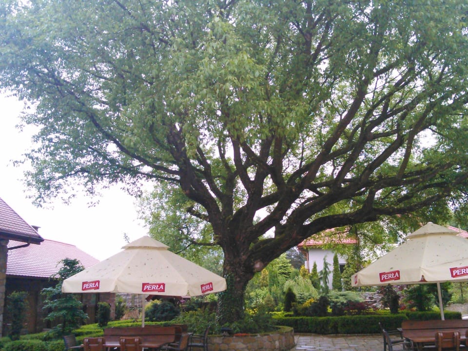 Hotel Hotel Zajazd Kmicic