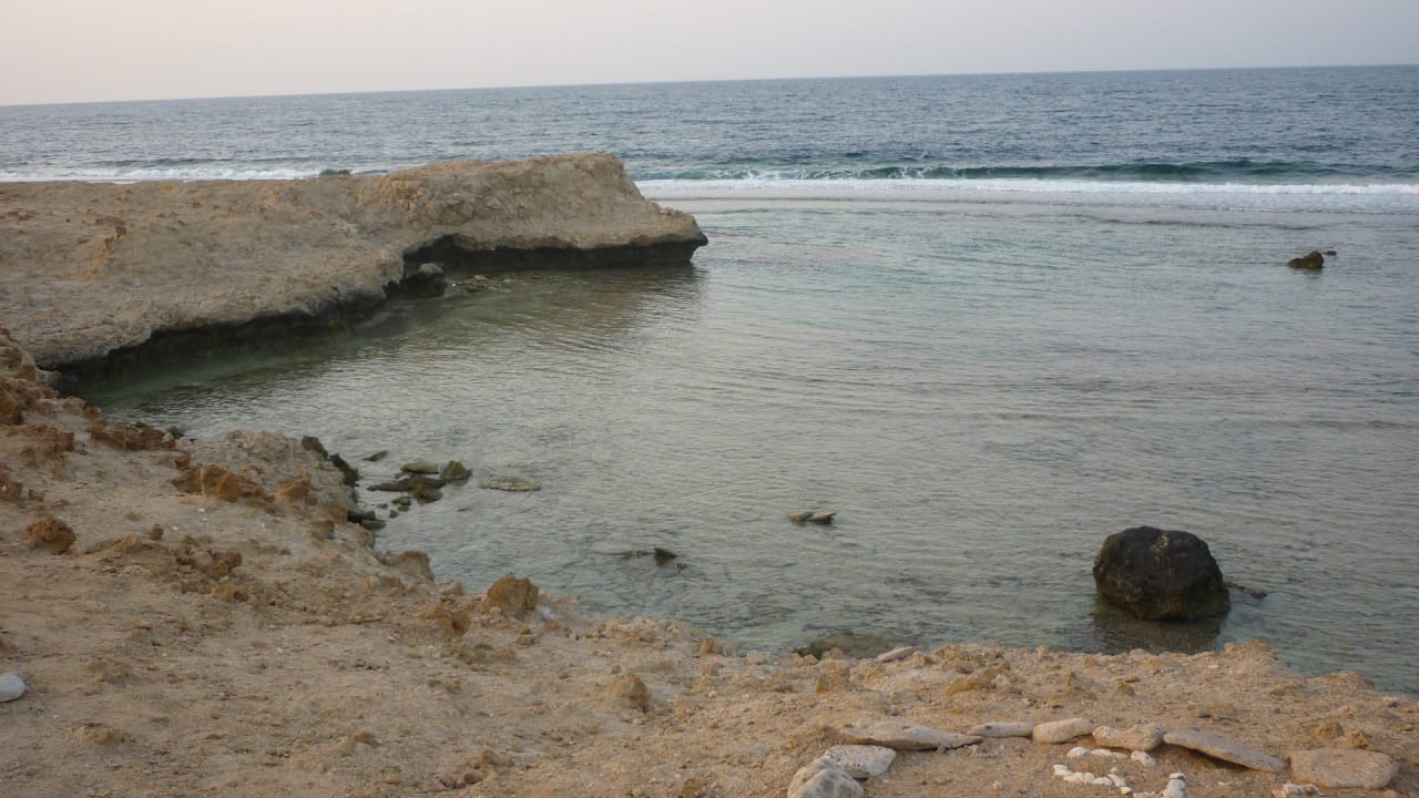 Sonstiges Steigenberger Coraya Beach - Adults only