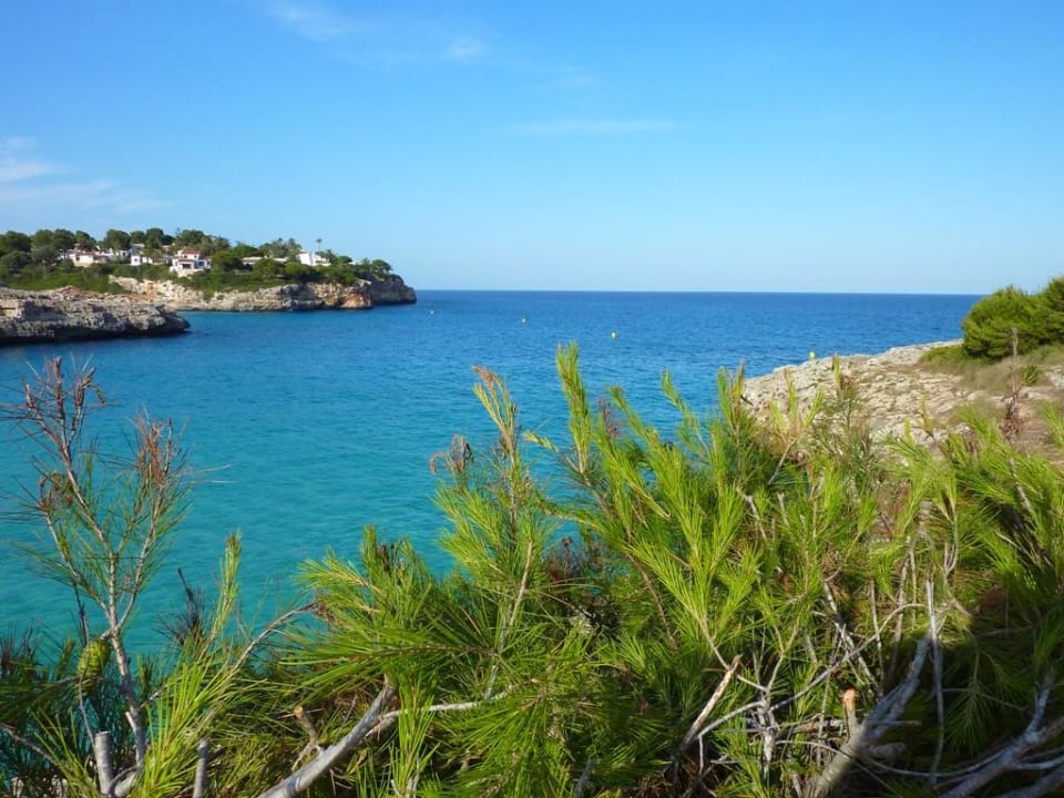 W drodze na plażę blau punta reina