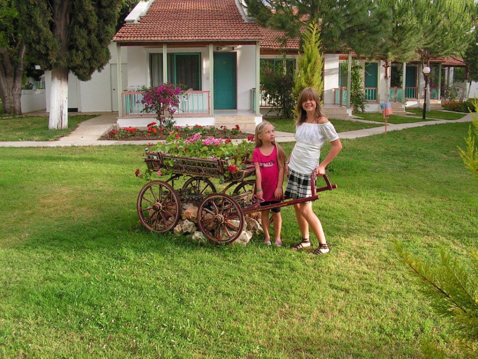 Blumen, überall Blumen Kustur Club Holiday Village