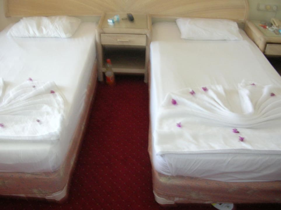 Bett Aska Hotel Just in Beach