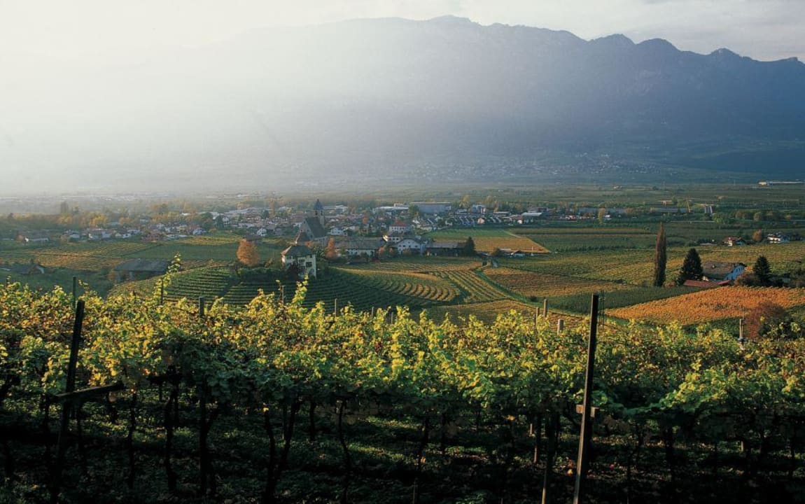 Aussicht/Ausblick Hotel Zirmerhof