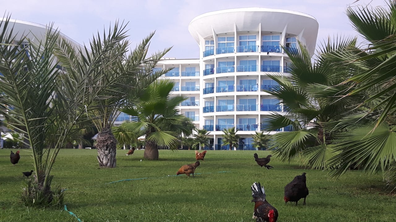 Außenansicht Sultan of Dreams Hotel & Spa