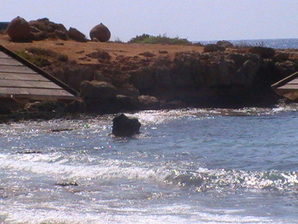 Bucht Nissi direkt vor dem Hotel Hotel Nissi Beach Resort
