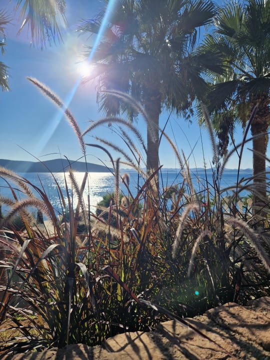 Gartenanlage TUI MAGIC LIFE Bodrum - Adult Only (16+)