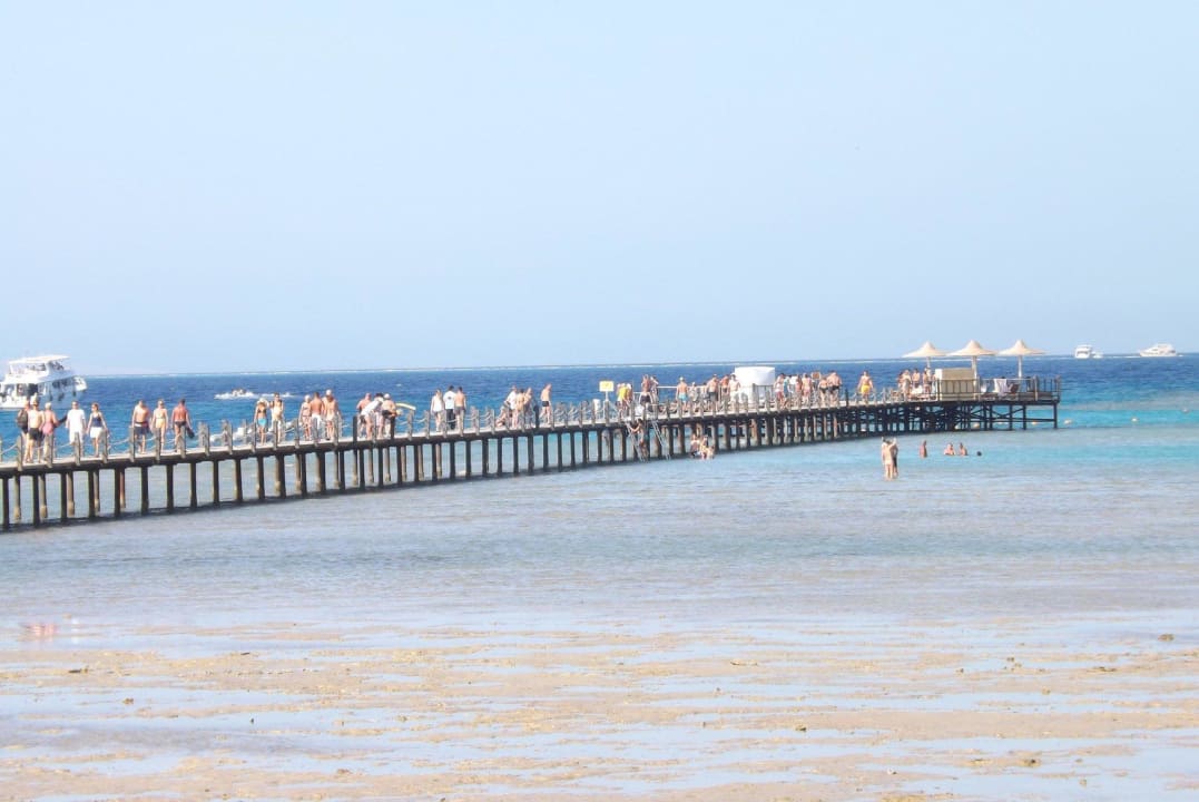 Steg zum Hausriff Stella Beach Resort & Spa Makadi Bay