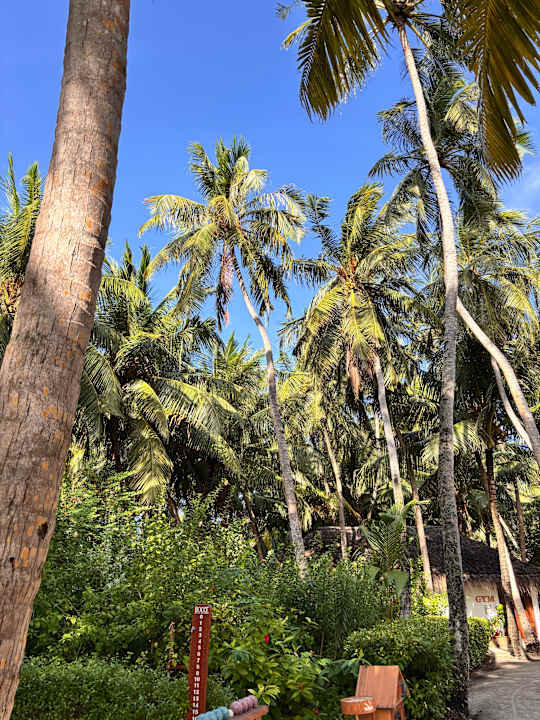 Gartenanlage Dreamland The Unique Sea & Lake Resort / Spa