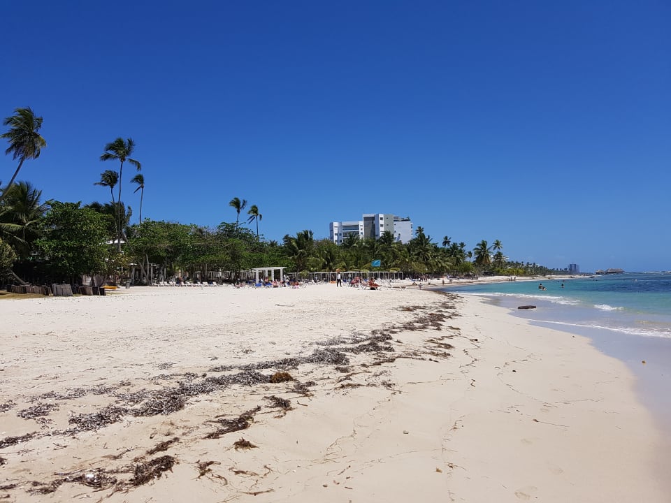 Strand Emotions By Hodelpa - Juan Dolio All Inclusive