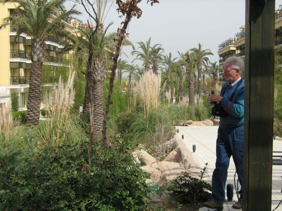 Gartenanlage (Dschungel) Crystal Paraiso Aqua Collection