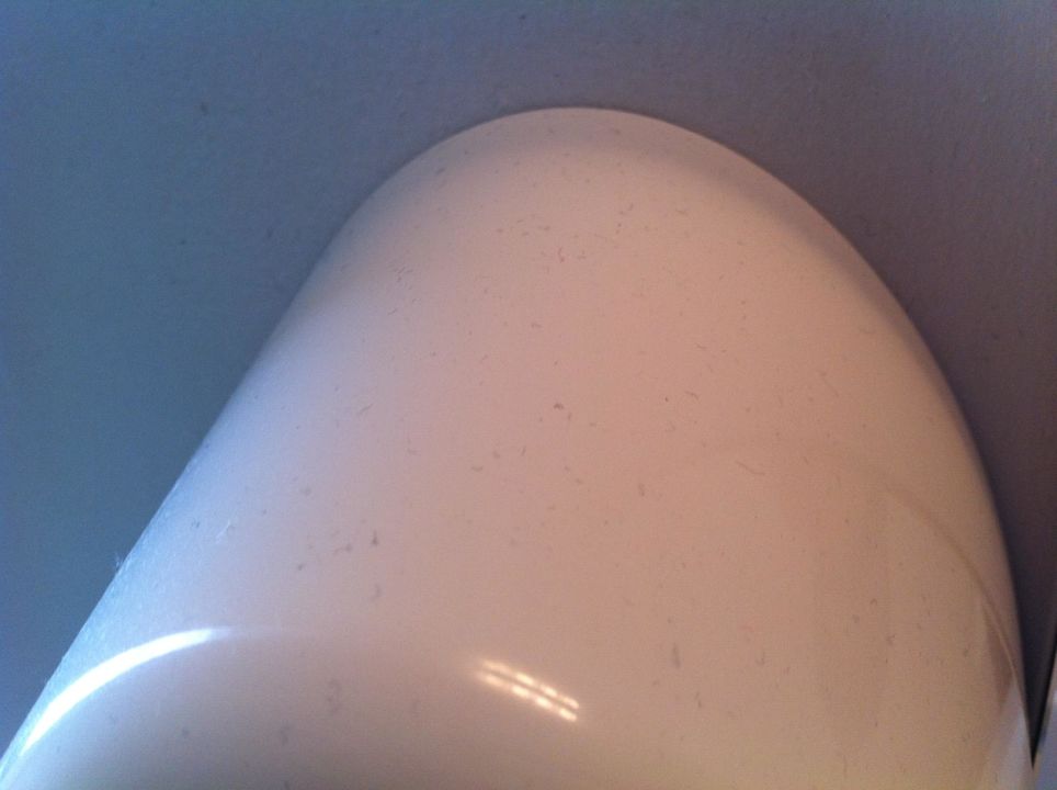 Schmutz! Hotel Ambassadeur