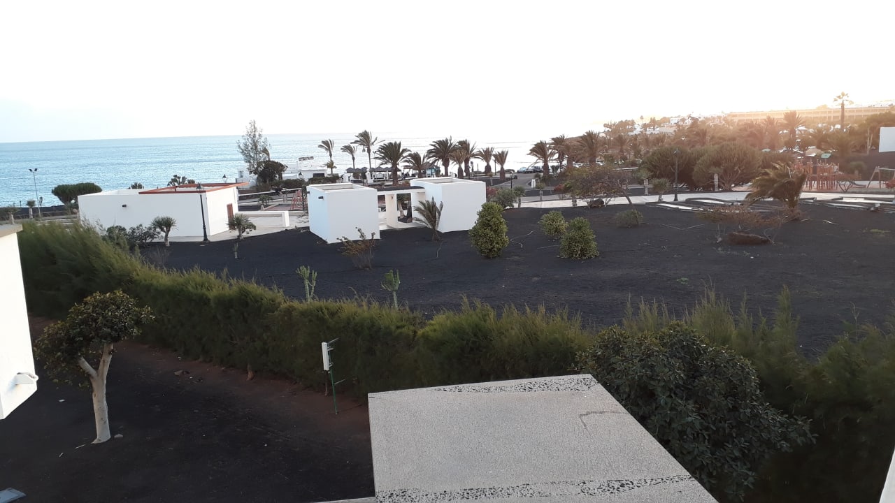Ausblick allsun App.-Hotel Albatros