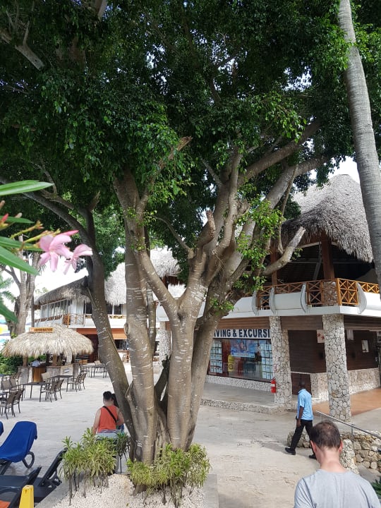 Sonstiges Hotel Viva Dominicus Beach by Wyndham - All Inclusive Resort