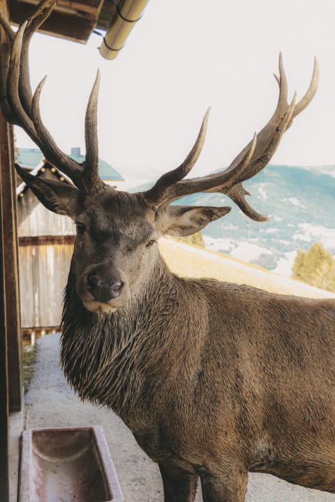 Sonstiges Hüttendorf Schlögelberger