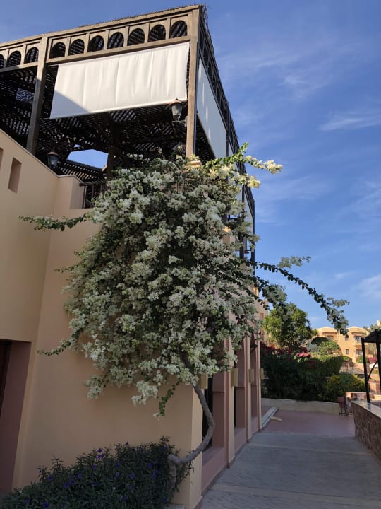 Sonstiges Steigenberger Coraya Beach - Adults only