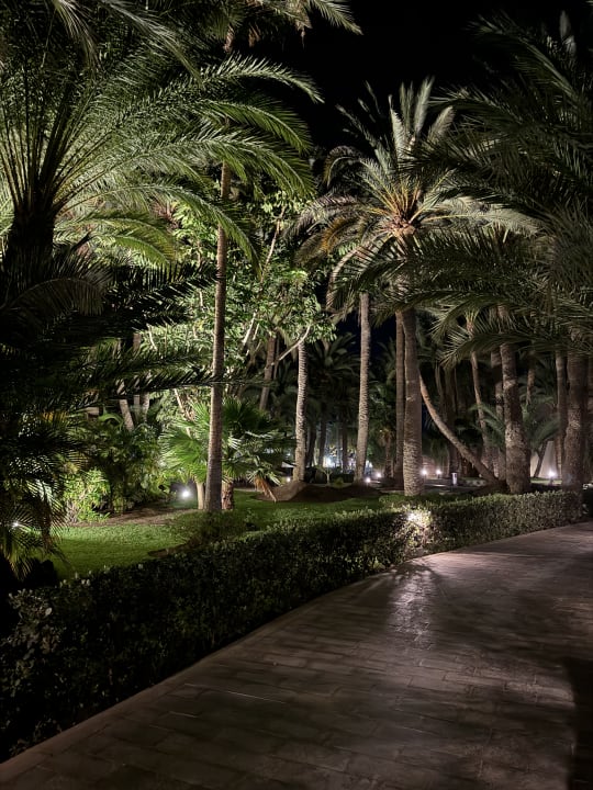 Außenansicht Hotel Riu Palace Oasis