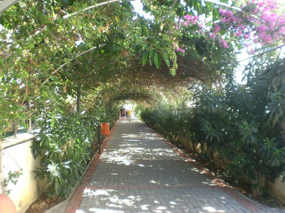 Zum Strand Alaiye Resort & Spa