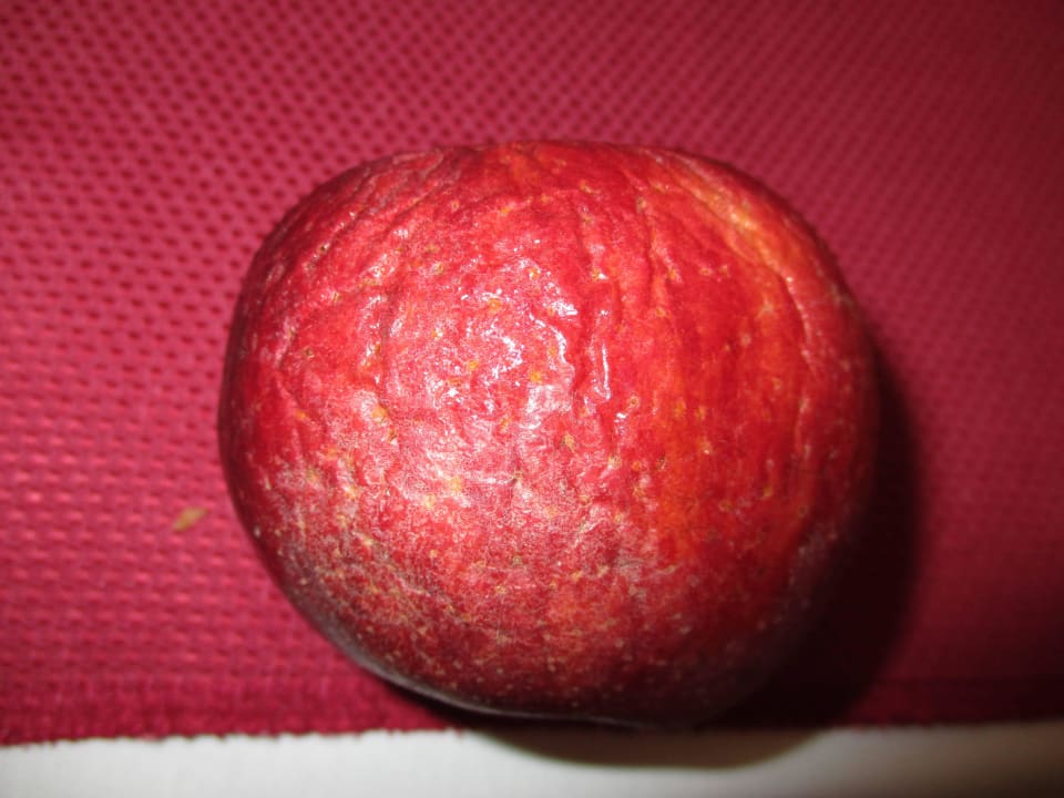 Frisch ?? Hotel Meri