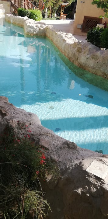 Pool Grand Waterworld Makadi & Family Star Makadi