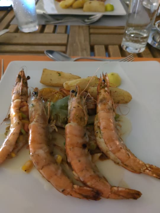 Gastro Iberotel Makadi Beach