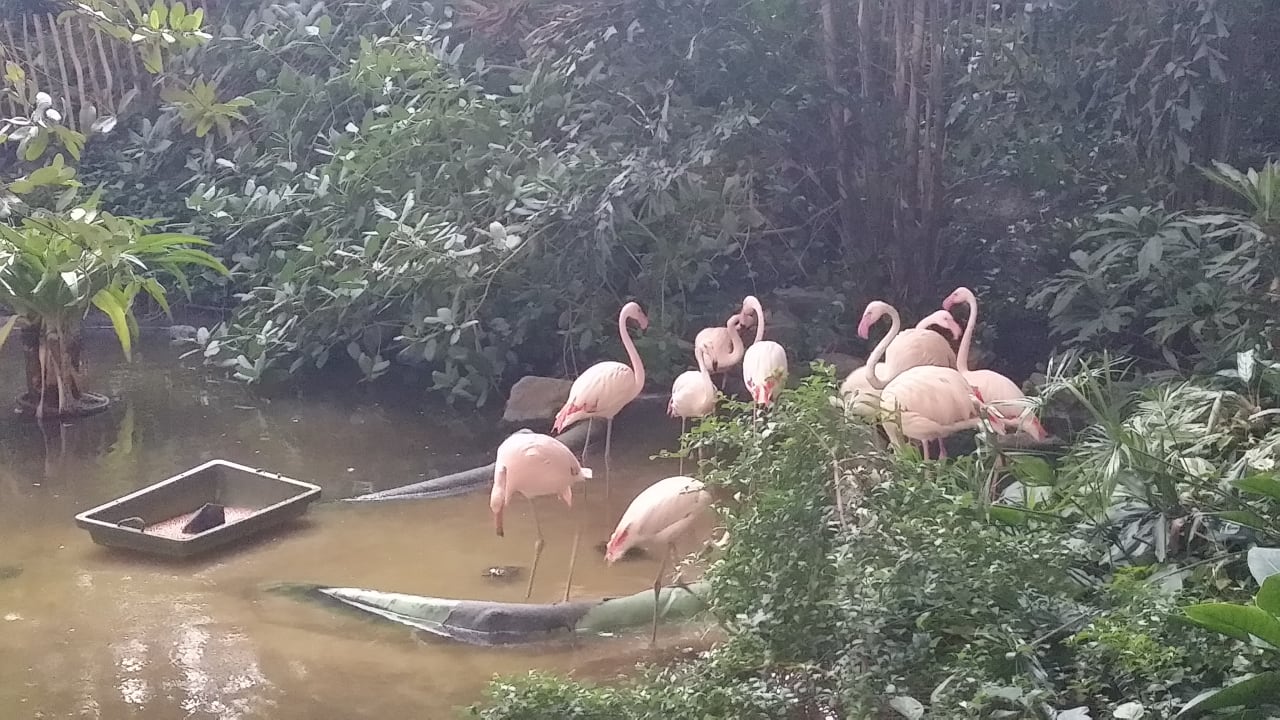 Ausblick Tropical Islands Resort