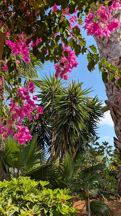Gartenanlage Lyttos Beach Hotel